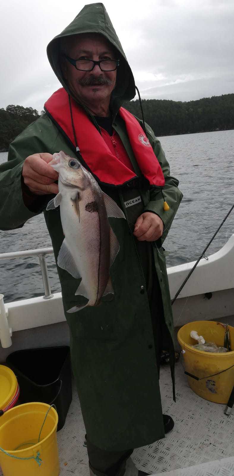 04.09.2020 - Jürgen in Norwegen - Er fängt was Niedliches